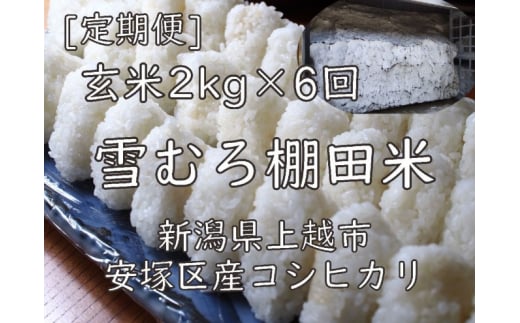 定期便 6ヶ月 雪むろ 棚田米 コシヒカリ 2kg 玄米 [定期便]毎月発送(計6回) こしひかり 米 お米 こめ おすすめ ユキノハコ 新潟 新潟県産 にいがた 上越 上越産