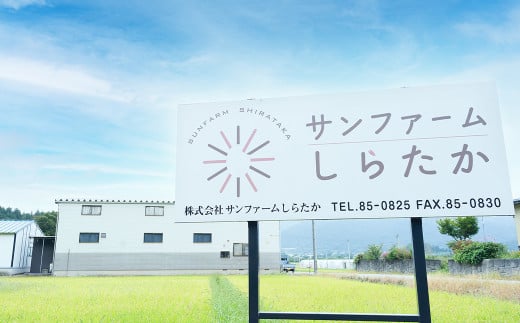 【令和6年産新米】〈玄米〉 つや姫 計30kg 10kg×3袋 （特別栽培米）