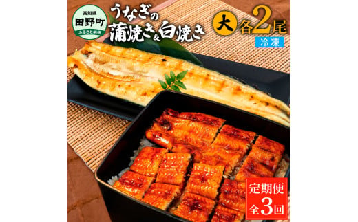 田野町産うなぎの蒲焼き(大)+うなぎの白焼き(大) 各2尾×3回 定期便 3ヶ月 定期コース 1尾あたり120～150g タレ付き 山椒付き うなぎ 鰻 ウナギ 蒲焼き かば焼き 白焼 国産 冷凍 配送