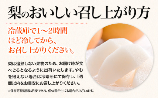 ＼数量限定在庫追加／  くまもと 梨 訳あり 熊本県産 約3kg 4～15玉 フルーツ 予約 秋 旬 クール便 《8月末旬-10月中旬頃より出荷予定》 SDGs 梨  なし 果物  ギフト  ご贈答 旬の果物 豊水梨 あきづき 新興梨