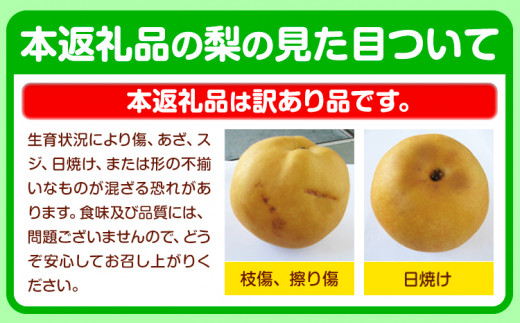 ＼数量限定在庫追加／  くまもと 梨 訳あり 熊本県産 約3kg 4～15玉 フルーツ 予約 秋 旬 クール便 《8月末旬-10月中旬頃より出荷予定》 SDGs 梨  なし 果物  ギフト  ご贈答 旬の果物 豊水梨 あきづき 新興梨