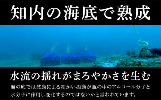 【2023年引き揚げ】知内海底熟成ウイスキー B 洋酒 海底酒