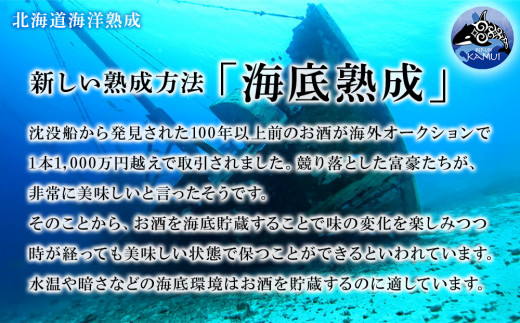 【2023年引き揚げ】知内海底熟成ウイスキー B 洋酒 海底酒