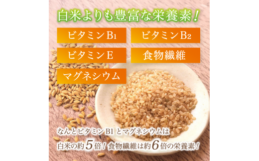 【新米】 特別栽培米 竹炭米 玄米 5kg 玄米 数量限定 米 こしひかり 農家直送 京都 舞鶴 節減農薬 有機肥料 お米 ごはん げんまい 健康 令和7年度産 京都 舞鶴 竹炭 SGDs 5kg 10kg 15kg