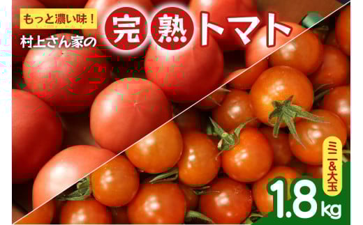 もっと濃い味！村上さん家の完熟トマト（ミニ＆大玉）合計1.8kg | 茨城