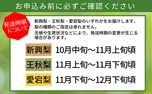 【 晩生梨（新興梨 王秋梨 愛宕梨）4kg 小さめ（1玉350g～420gを10～12玉）】10月中旬から12月下旬にかけて発送 香住産 梨の一大産地香住からお届け 新興梨･王秋梨･愛宕梨のいずれかを時期によってお届け 甘味の中に適度に酸味 絶妙な美味しさ 味と品質へのこだわり 大人気 ふるさと納税 香美町 果物 フルーツ ナシ 和梨 贈答 晩生 JAたじま 12500円 12-07