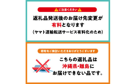 【2025年1月下旬発送】おまかせ 訳ありりんご 約 3kg （7～12個程度） 青森 |選べる配送時期|  りんご 青森 五所川原 3kg 程度