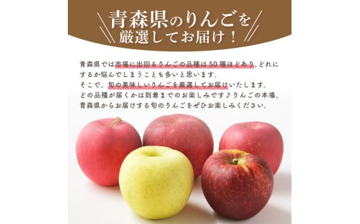 【2025年1月下旬発送】おまかせ 訳ありりんご 約 3kg （7～12個程度） 青森 |選べる配送時期|  りんご 青森 五所川原 3kg 程度