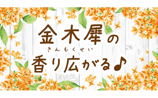 ボタニッシュエア ２個パック キンモクセイ 晴香堂 HARUKADO