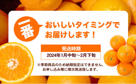 愛媛県産JA正規品 宮内伊予柑（いよかん） 約10Kg【優】3L～L（2025年1月～順次発送）【旬 甘い みかん 蜜柑 柑橘 かんきつ 高級 先行予約】 [№5310-0032]