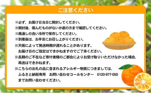 愛媛県産JA正規品 宮内伊予柑（いよかん） 約10Kg【優】3L～L（2025年1月～順次発送）【旬 甘い みかん 蜜柑 柑橘 かんきつ 高級 先行予約】 [№5310-0032]