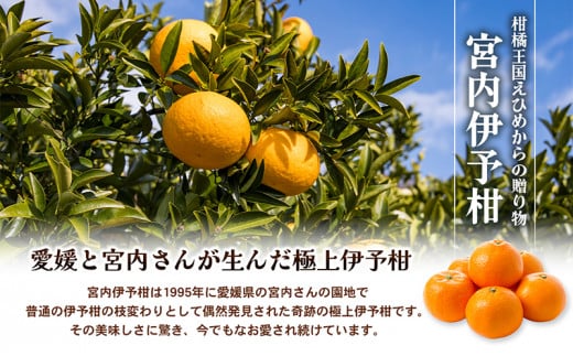 愛媛県産JA正規品 宮内伊予柑（いよかん） 約10Kg【優】3L～L（2025年1月～順次発送）【旬 甘い みかん 蜜柑 柑橘 かんきつ 高級 先行予約】 [№5310-0032]