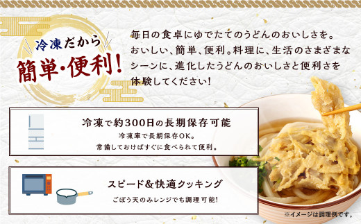 【3回定期便】カトキチ 具付き！ごぼう天うどん 12食 (260g×12袋)