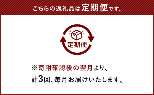 【3回定期便】カトキチ 具付き！ごぼう天うどん 12食 (260g×12袋)