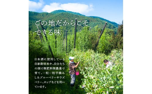 山伏ビール 壱・弐 各1本セット 【 クラフトビール セット 飲み比べセット 玉村本店 ビール 詰め合わせ 地ビール 山伏 飲み比べ 美山錦 ギフト 酒 お酒 アルコール 飲料 志賀高原 長野県 長野 】