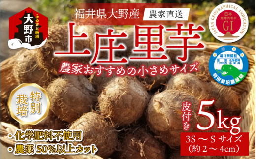 【先行予約】【11月発送】こだわりの特別栽培 上庄里芋 5kg（3S～Sサイズ） きぬかつぎ 化学肥料不使用 農薬50％以上カットの特別栽培里芋 農家直送