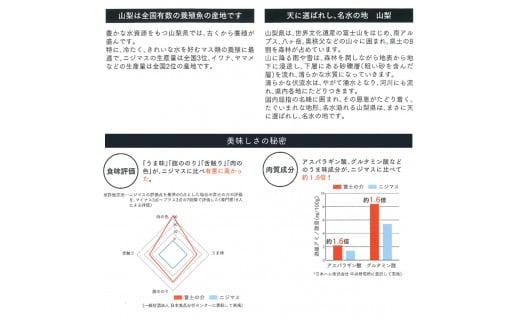 富士の介お刺し身セット(スライス3パック/短サク1パック)