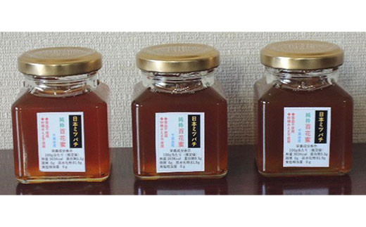 千葉県産　日本みつばち百花蜂蜜　300g（100ｇ×3個） ふるさと納税  蜂蜜 日本みつばち 百花蜂蜜 はちみつ ハチミツ ミツバチ 千葉県 大網白里市 AP002