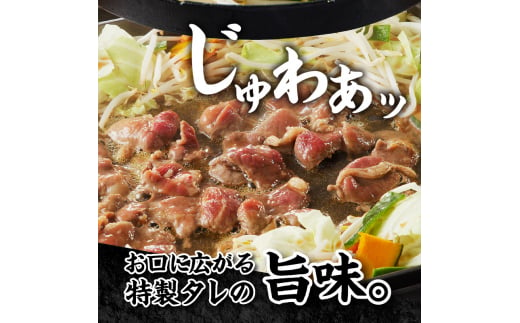 ＜味付ジンギスカングランプリ受賞＞小林ジンギスカン お試しセット(特上マトン500g、特上ラム300g)｜北海道 滝川市 味付ジンギスカン ジンギスカン 成吉思汗 羊肉 肉 お肉 ラム マトン お試し セット 詰め合わせ 詰合せ 惣菜 お惣菜