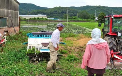 岡山県産 特別栽培米 きぬむすめ 精米 2kg