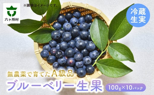 《先行予約 2025年7月～順次出荷》ブルーベリー生実 A級品　1kg　100g×10パック