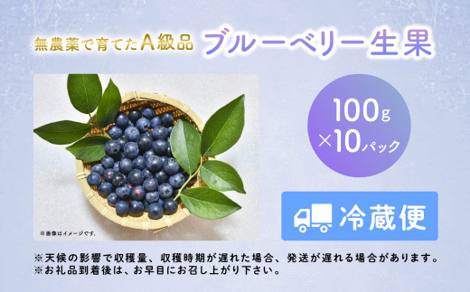 《先行予約 2025年7月～順次出荷》ブルーベリー生実 A級品　1kg　100g×10パック