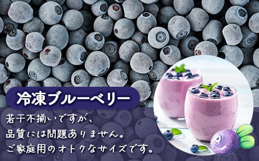 冷凍 ブルーベリー 500g 【ふるさと納税 人気 おすすめ ランキング 果物 ブルーベリー 冷凍ブルーベリー 国産ブルーベリー 濃厚ブルーベリー 大容量 おいしい 美味しい あまい 新鮮 北海道 豊浦町 送料無料】 TYUS023