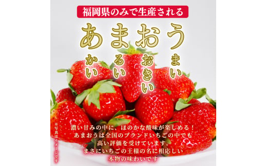 【1月から発送予定】先行予約! 数量限定 福岡産 あまおう８粒～９粒×4パック セット いちご 苺 イチゴ フルーツ 果物 くだもの 春 旬 福岡 九州 福岡県 川崎町 