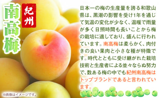 南高梅 はちみつ 梅 紀州 南高梅 つぶれ 梅干し 2kg 有限会社プラム《30日以内に出荷予定(土日祝除く)》和歌山県 日高町 送料無料 梅 うめ ウメ 南高梅 つぶれ梅 蜂蜜 紀州 うめぼし 梅干 漬物 ごはんのお供 送料無料