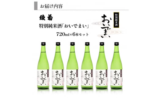 [№5911-0335]綾菊　特別純米酒「おいでまい」　6本セット