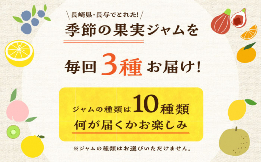 【3回定期便】季節の果実ジャム 3個（各120g） 長与町/アグリューム [EAI089] 瓶 セット ジャム