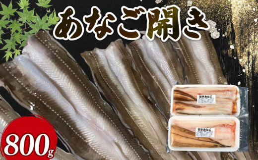 あなご開き 2～3パック ( 計800g ) 生あなご 蒲焼 お吸い物 天ぷら 煮穴子 和食 海産物 味噌汁 ごはん 夕飯 おかず 大船渡 三陸 岩手県 国産