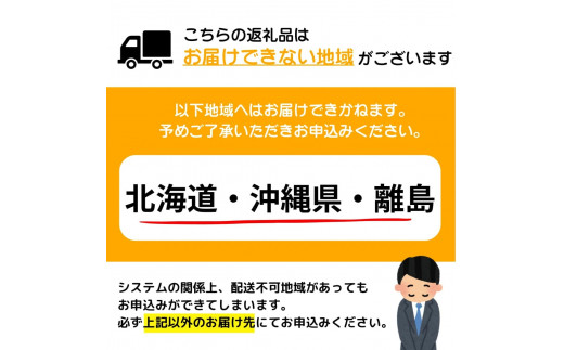 【令和7年3月配送】2〜3人前 国産牛モツ入りの絶品塩もつ鍋（300g）