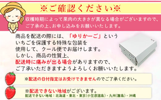 2025年発送＜谷口農園のいちご「紅い雫」約1kg（約250g×4パック）西予市 宇和町産＞ イチゴ 果物 フルーツ ストロベリー ジューシー 特産品 株式会社フジ・アグリフーズ 愛媛県 西予市【冷蔵】