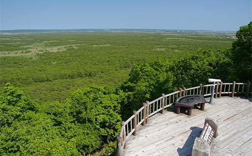 釧路市の飲食店や観光施設で使える！マルチクーポン 5,000円分（1,000円×5枚） クーポン 釧路市 観光 飲食店 長期滞在 返礼品 チケット グルメ レストラン 利用券 観光施設 F4F-8457