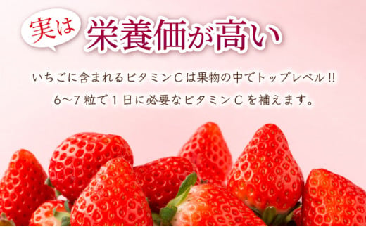 【先行予約】数量限定！佐賀県人気No.1苺”いちごさん” 約1kg（235g×4p）