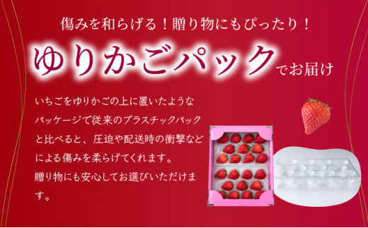 【先行予約】数量限定！佐賀県人気No.1苺”いちごさん” 約1kg（235g×4p）