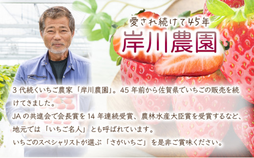 【先行予約】数量限定！佐賀県人気No.1苺”いちごさん” 約1kg（235g×4p）