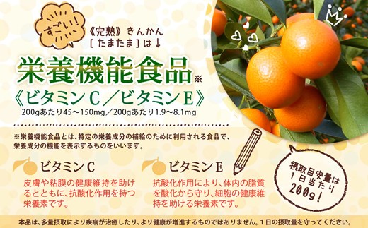 【期間限定発送】 糖度16度以上 きんかん 「たまたま」 1kg A2Lサイズ [農林産物直売所 美郷ノ蔵 宮崎県 美郷町 31ab0062] 金柑 柑橘 果物 フルーツ 国産 九州産 宮崎県産 数量限定