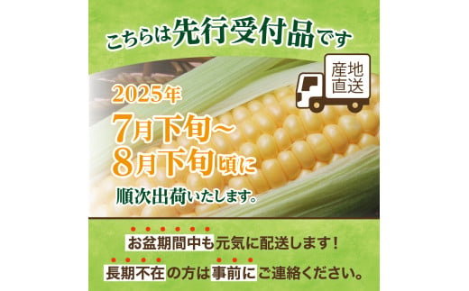 【2025年分先行予約】北海道十勝芽室町 スイートコーンゴールドラッシュ20本 me001-020c-25