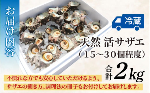 【先行予約】【期間限定】朝獲れ直送!若狭の天然活サザエ 2kg【2025年6月中旬より順次発送】