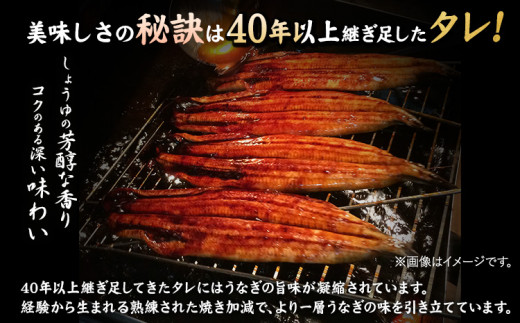 大型サイズ ふっくら柔らか国産 うなぎ 蒲焼き 2尾 化粧箱入(真空パック入) 株式会社魚鶴商店《30日以内に出荷予定(土日祝除く)》 和歌山県 日高町 うなぎ 鰻 ギフト 贈り物