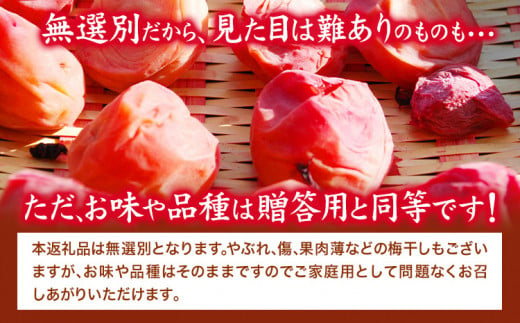 梅干し 紀州南高梅 使用 はちみつ うす塩 味 完熟 梅干し 無選別 1kg 《30日以内に出荷予定(土日祝除く)》日高町厳選館 和歌山県 日高町 梅干 梅 紀州 南高梅 はちみつ 蜂蜜 おかず 送料無料