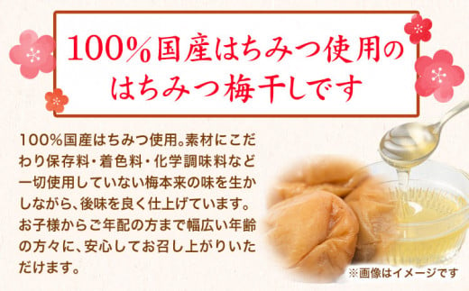 梅干し 紀州南高梅 使用 はちみつ うす塩 味 完熟 梅干し 無選別 1kg 《30日以内に出荷予定(土日祝除く)》日高町厳選館 和歌山県 日高町 梅干 梅 紀州 南高梅 はちみつ 蜂蜜 おかず 送料無料