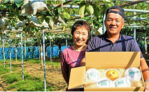 【先行予約】 数量限定 新高梨 4kg（5玉前後）山﨑梨園 大きさとおいしさの感動をお届け 梨の王様 梨 新高梨 なし ナシ Cyn-003 梨 夏 なし 水菓子 果物 デザート フレッシュ フルーツ