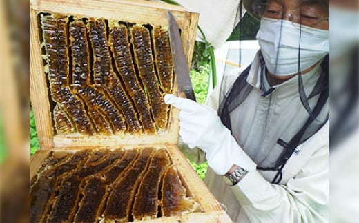 石川県白山市産　純粋日本はちみつ　白山ひめみつ　270g【1126417】