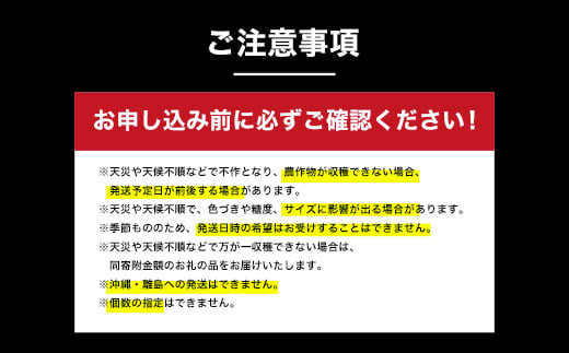 【先行予約】木更津市産　矢那の梨【あきづき】〈安西梨園〉 / ふるさと納税 フルーツ 果物 くだもの 梨 ナシ なし 季節 旬 産地直送 送料無料 千葉県 木更津市 KCO003