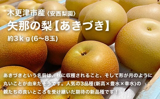 【先行予約】木更津市産　矢那の梨【あきづき】〈安西梨園〉 / ふるさと納税 フルーツ 果物 くだもの 梨 ナシ なし 季節 旬 産地直送 送料無料 千葉県 木更津市 KCO003