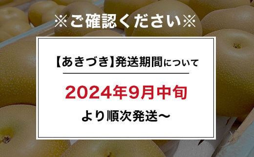 【先行予約】木更津市産　矢那の梨【あきづき】〈安西梨園〉 / ふるさと納税 フルーツ 果物 くだもの 梨 ナシ なし 季節 旬 産地直送 送料無料 千葉県 木更津市 KCO003