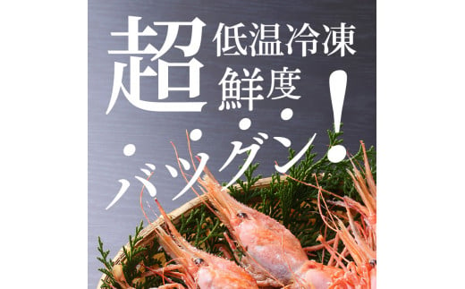 ぼたんえび10尾+甘えび30尾+ボイルシャコ8～10尾セット 北海道